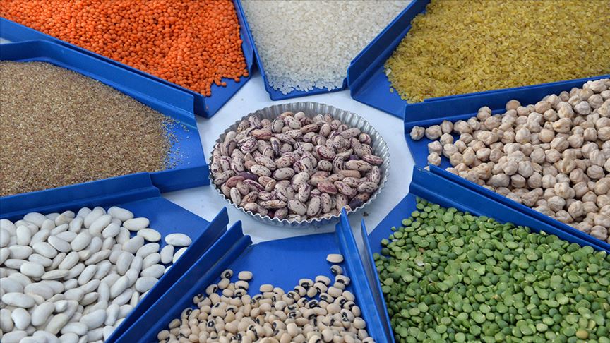 türkiyenin hububat ihracat performansı 2025