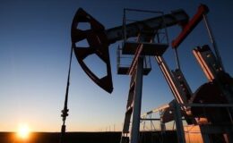 2025 petrol fiyatı tahmini aşağı çekildi