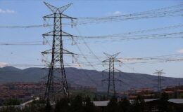 Türkiye’nin elektrik dağıtım hattı özelleştirme sonrası yüzde 50 büyüdü