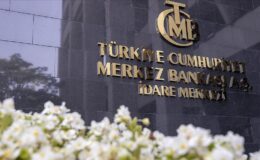 Merkez Bankası faizi sabit tutarsa dolar, euro ne olur?