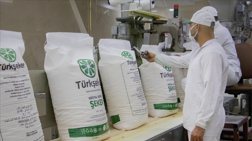 Türkşeker işçi alımı başvuru şartları ve kadroları işkur başvuru