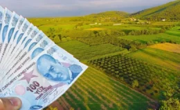 Devletin ucuza arsa satacağı iller belli oldu! İşte, şartlar ve başvuru tarihleri