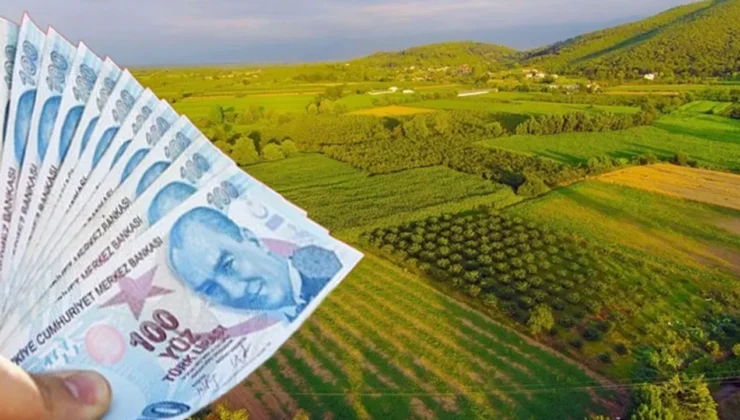 Devletin ucuza arsa satacağı iller belli oldu! İşte, şartlar ve başvuru tarihleri