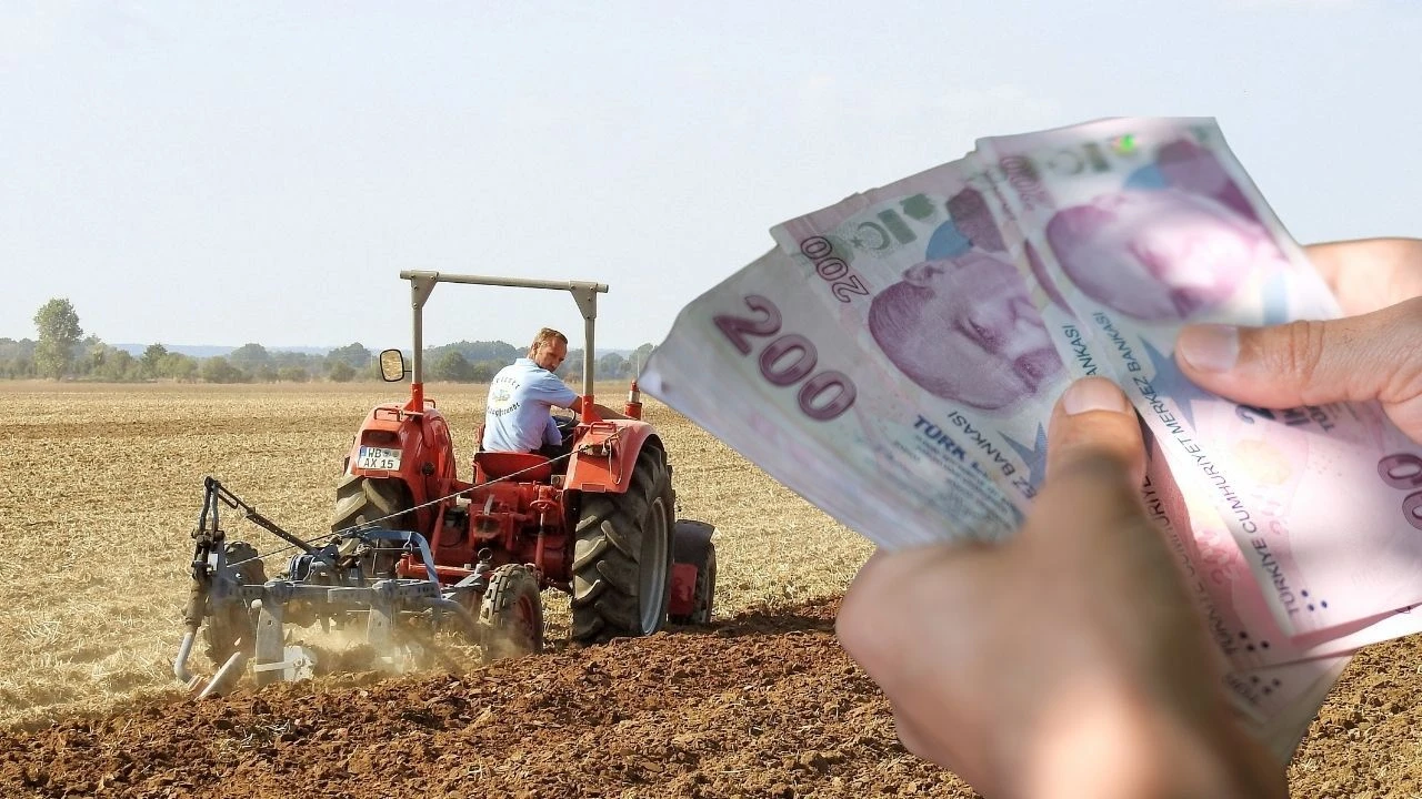 Gençlere tarım desteği 2025 Tarım gençlere hibe ve destekler nelerdir