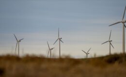 Rüzgar enerjisi yatırımlarının bu yıl 1,5 milyar doları aşması bekleniyor