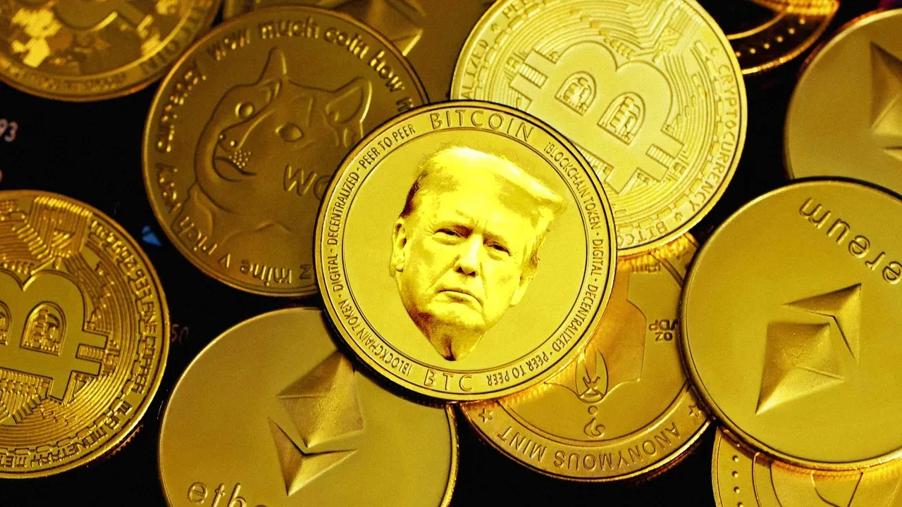 Trump Coin geleceği