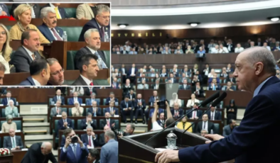 İş dünyasının aykırı sesi Leyla Alaton, AK Parti grup toplantısına neden katıldı?