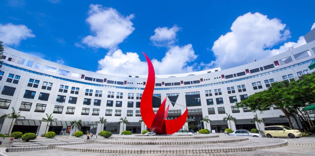 The Hong Kong University