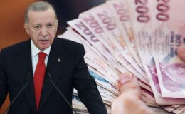 Seracıya, çiftçiye, süt hayvancılığına kredi… Cumhurbaşkanı duyurdu