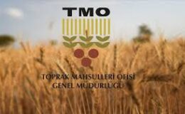TMO 2025 makarnalık buğday, ekmeklik buğday, arpa alım fiyatlarını açıkladı
