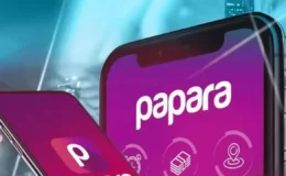 Papara inceleme ne zaman bitecek?