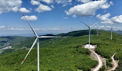 2024 yılında elektriğin %10.5’i rüzgardan
