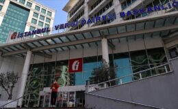 Tapu devrinde eksik bilgi beyan edenler dikkat! GİB harekete geçti