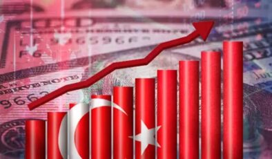Türk yatırımcılar hangi ülkeleri tercih ediyor? 132 ülkede 2 bin 317 yatırım