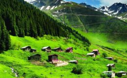 Yeşil lezzetler Karadeniz’i uçuracak