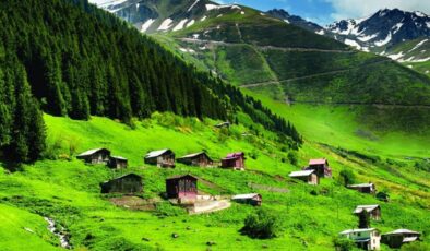 Yeşil lezzetler Karadeniz’i uçuracak