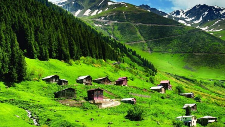 Yeşil lezzetler Karadeniz’i uçuracak