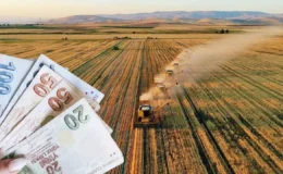 Çiftçiye 1,7 milyar liralık destekleme ödemesi hesaplara yatmaya başlıyor