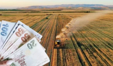 Çiftçiye 1,7 milyar liralık destekleme ödemesi hesaplara yatmaya başlıyor