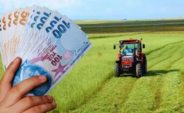 Devlet destekli tarım sigortaları tazminatları ödendi! Miktar 7,3 milyar lirayı buldu
