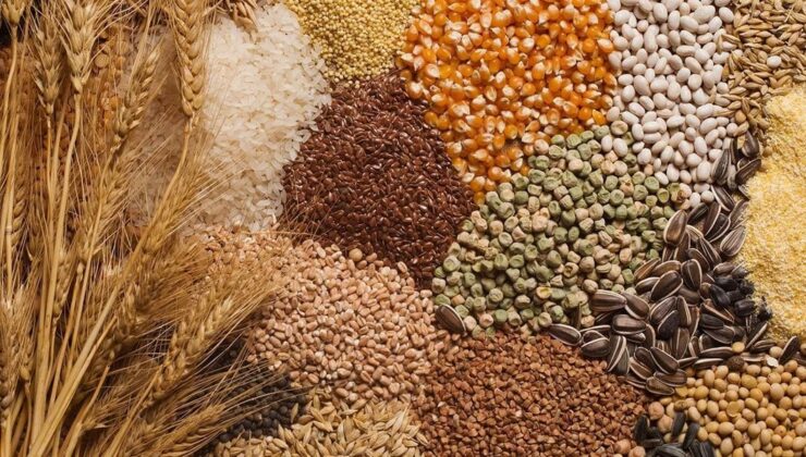 Hububat ihracatı yılın ilk 7 ayında 7,1 milyar dolar oldu 1 Hububat ihracatı yılın ilk 7 ayında 7,1 milyar dolar oldu