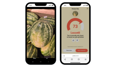 Karpuz seçiminde yapay zeka dönemi