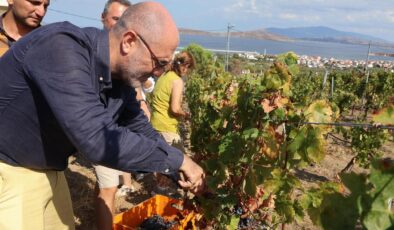 Avşa Adası turizmde vites yükseltti