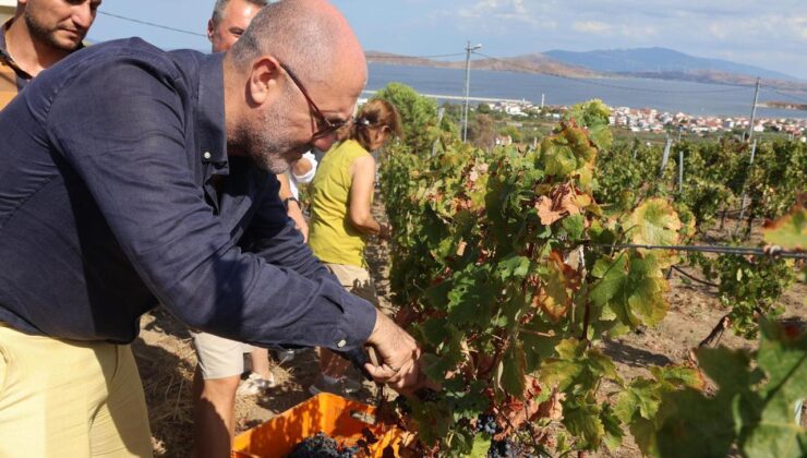 Avşa Adası turizmde vites yükseltti
