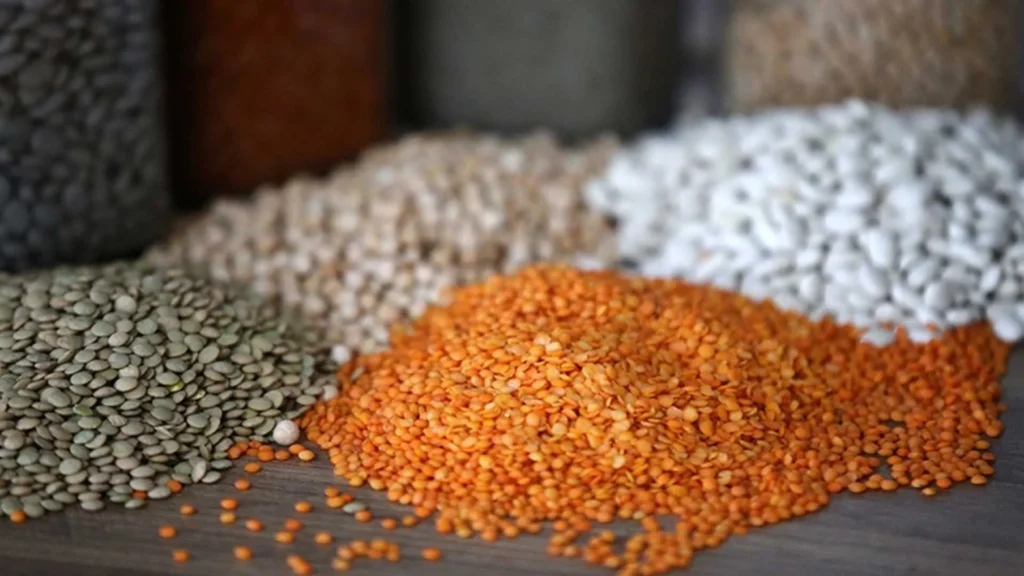 Hububat ihracatı yılın ilk 7 ayında 7,1 milyar dolar oldu 3 guneydogunun hububat ihracati artti