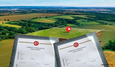 Hisseli tapu çıkmazı tarımı ve köy yaşamını tehdit ediyor