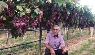 TARİŞ üzüm fiyatı 2025 tepkilere neden oldu