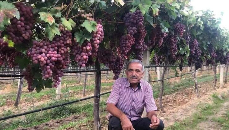 TARİŞ üzüm fiyatı 2025 tepkilere neden oldu