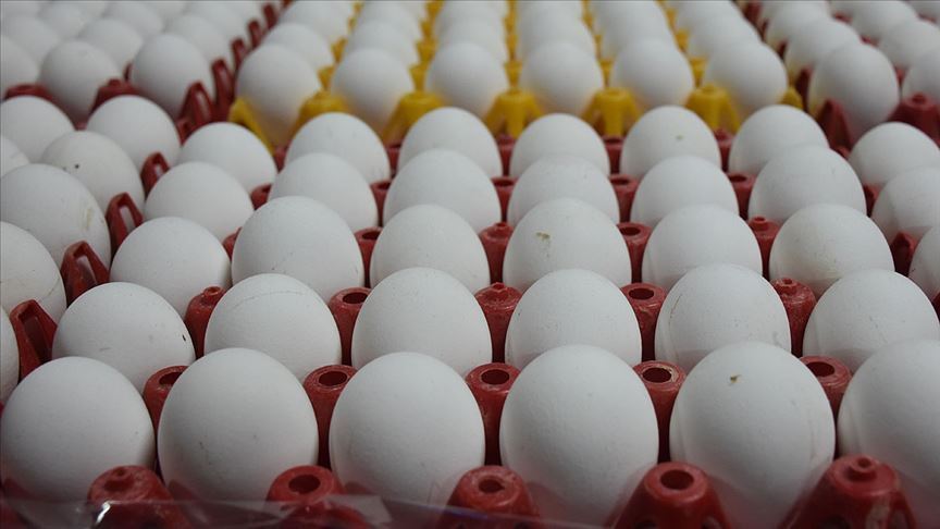 yumurta fiyatları neden düştü 2025 ağustos