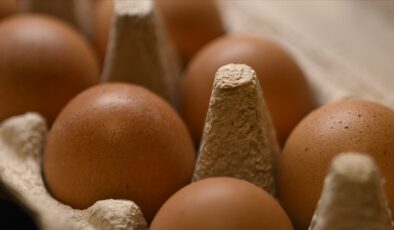 Yumurta fiyatları neden düştü? İhracat yasağının kalkması sonrası tavan yapmıştı