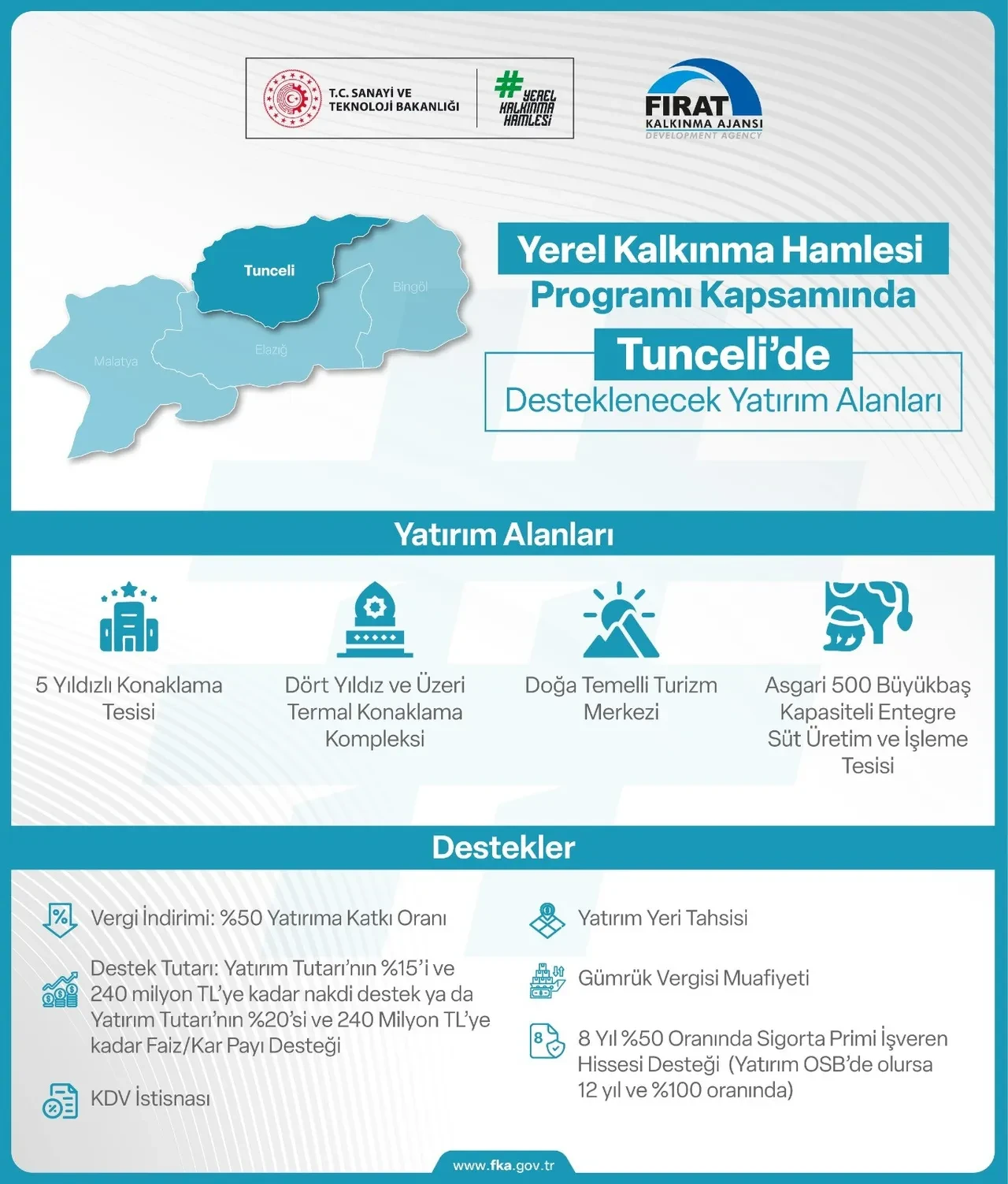 yerel kalkınma hamlesi nedir