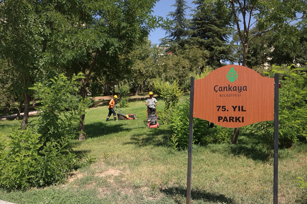 Çankaya, Türkiye'nin en yüksek sosyoekonomik ilçesi oldu! İşte, o liste