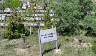 Türkiye doğal kaynaklarla küresel liderliğe yükseliyor