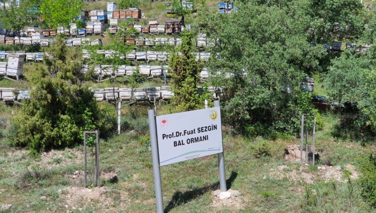 Türkiye doğal kaynaklarla küresel liderliğe yükseliyor