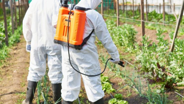 Sofralarımızda sağlık riski!