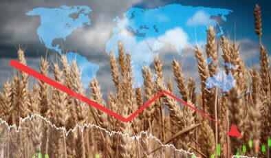 Gıda enflasyonunda gerileme sinyalleri