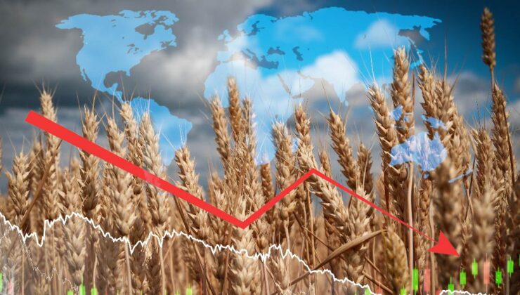 Gıda enflasyonunda gerileme sinyalleri