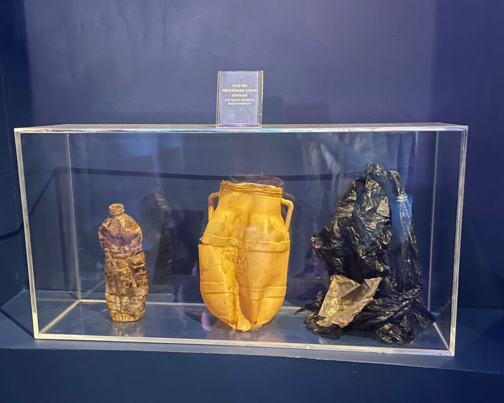 2e993eb2 5ad2 4c86 9a7c 5178a691b716