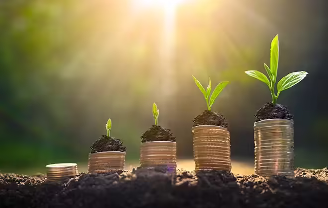 Şirketler neden dönüşmeli?