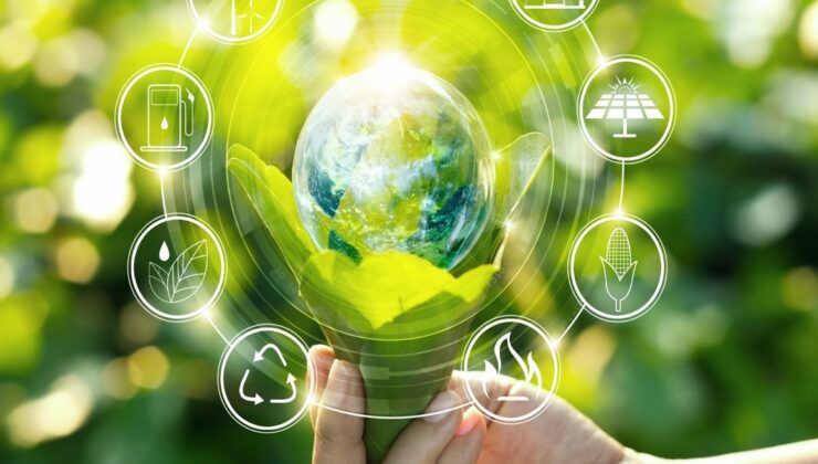 OVP’nin yeşil ekseni