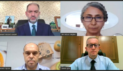 Kendi küçük, potansiyeli büyük meyve: Altın Çilek