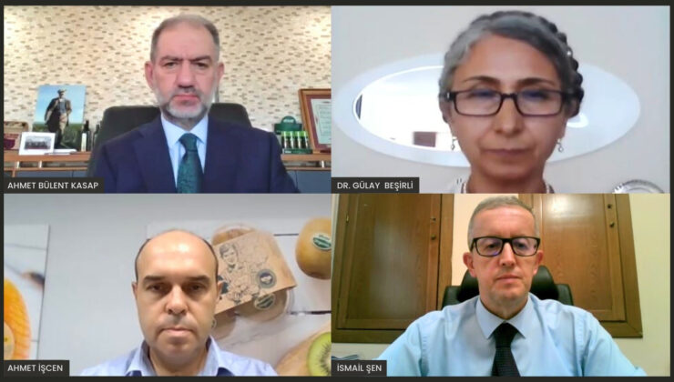 Kendi küçük, potansiyeli büyük meyve: Altın Çilek