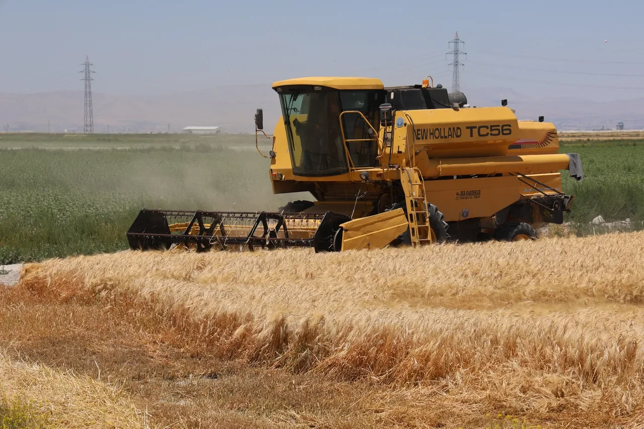 Çiftçilere destek ödemeleri arttı: 2026 buğday, ayçiçeği, pamuk desteği ne kadar? 4 2026 buğday ayçiçeği pamuk desteği ne kadar kaç tl