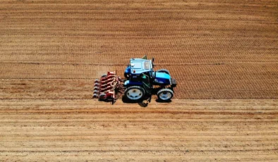 Çiftçilere destek ödemeleri arttı: 2026 buğday, ayçiçeği, pamuk desteği ne kadar?