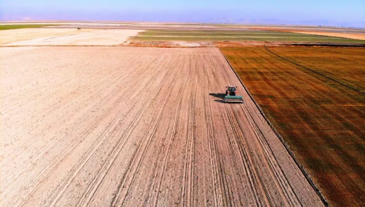 Tarım ve Orman Bakanlığı 2026 soya desteği ne kadar?