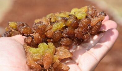 Kuru üzüm alım fiyatı 2025 ne kadar?